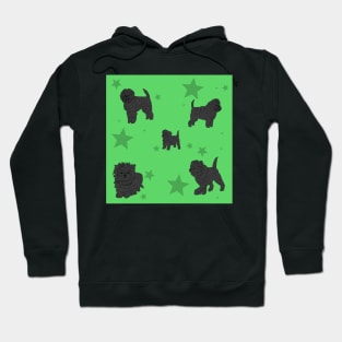 Affenpinscher Pattern Green Hoodie